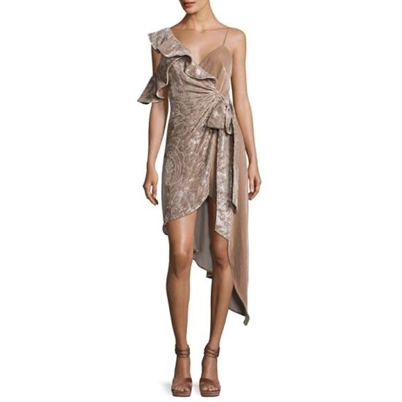 Self-Portrait Velvet Devore Wrap Dress NWT Champagne Grey Size 2 - Picture 1 of 13